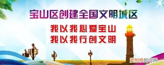 一勺洗衣粉消灭蟑螂