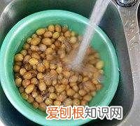 黄皮怎么吃，黄皮干怎么做好吃