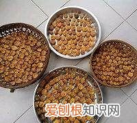 黄皮怎么吃，黄皮干怎么做好吃