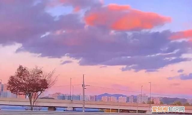 初见乍惊欢 久处亦怦然是什么意思