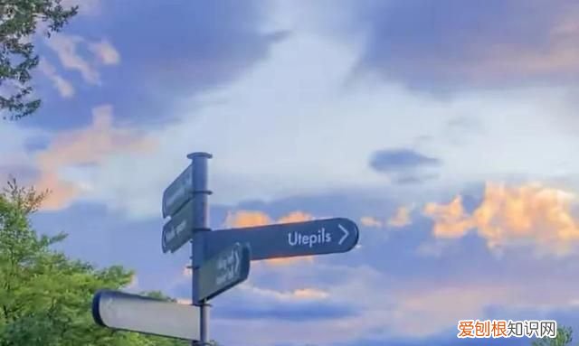 初见乍惊欢 久处亦怦然是什么意思