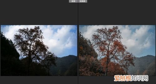 什么是宽容度，相机宽容度是什么意思