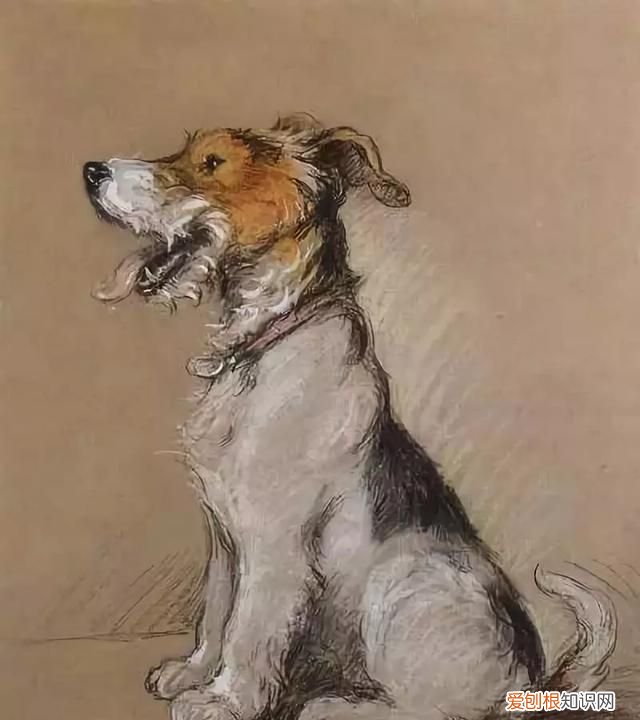 色粉画工具有哪些,色粉画要用到的工具