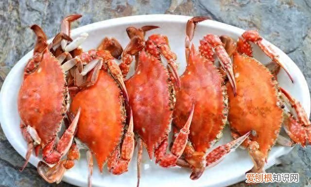 螃蟹怎么蒸才正确蒸多久才会熟,蒸箱蒸螃蟹的正确方法蒸几分钟