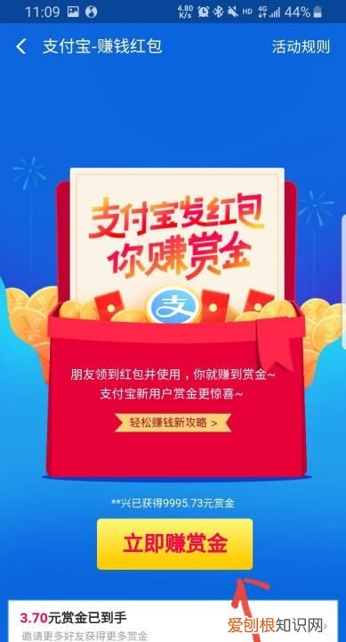 支付宝搜索码在哪里，怎么查看自己支付宝登录密码