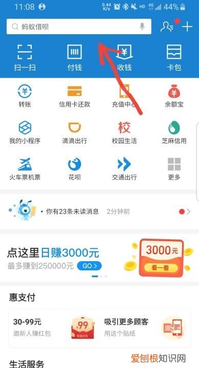 支付宝搜索码在哪里，怎么查看自己支付宝登录密码