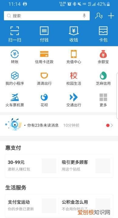 支付宝搜索码在哪里，怎么查看自己支付宝登录密码