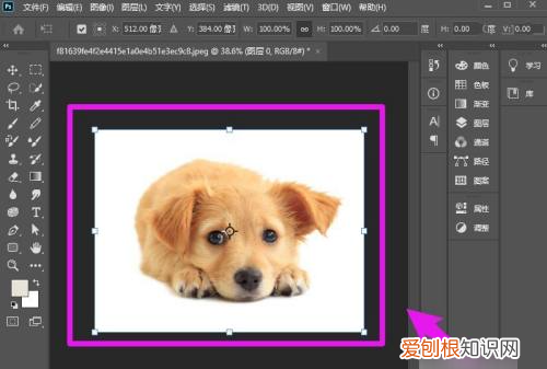 Ps怎么随意拉伸,怎么自由拉伸图片