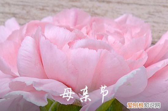 母亲节活动标语90句 母亲节活动主题标语