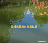 歌曲赐伤男声完整版 歌曲赐伤原唱完整版