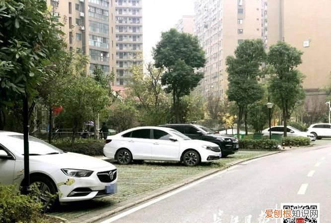 小区地面停车位归谁所有，小区地面车位属于全体业主所有吗