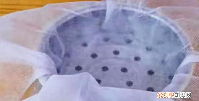 如何在家用最简单的方法制作豆腐