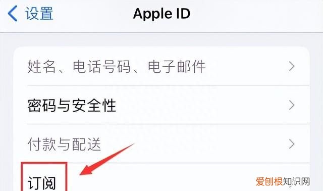 怎么取消苹果订阅自动续费,苹果11订阅的自动续费怎么取消