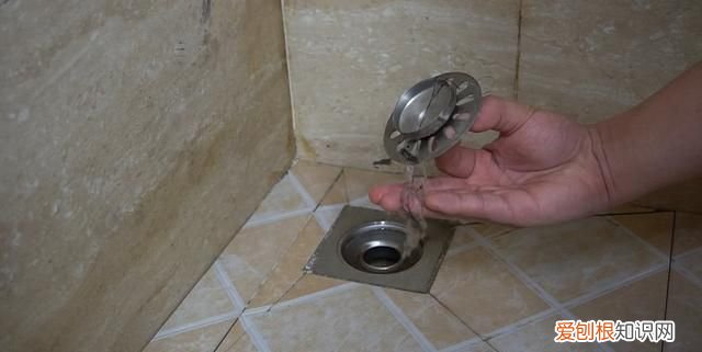 上海蟑螂防治妙招