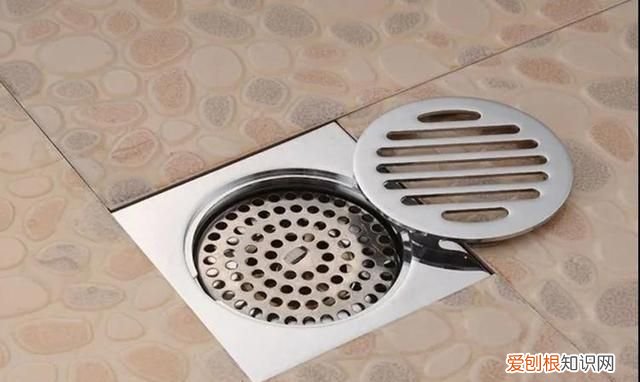 上海蟑螂防治妙招