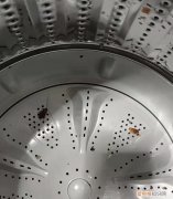 上海蟑螂防治妙招