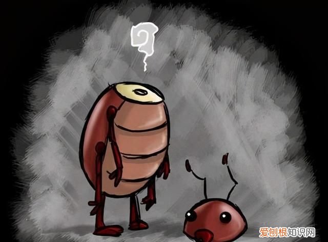 上海蟑螂防治妙招