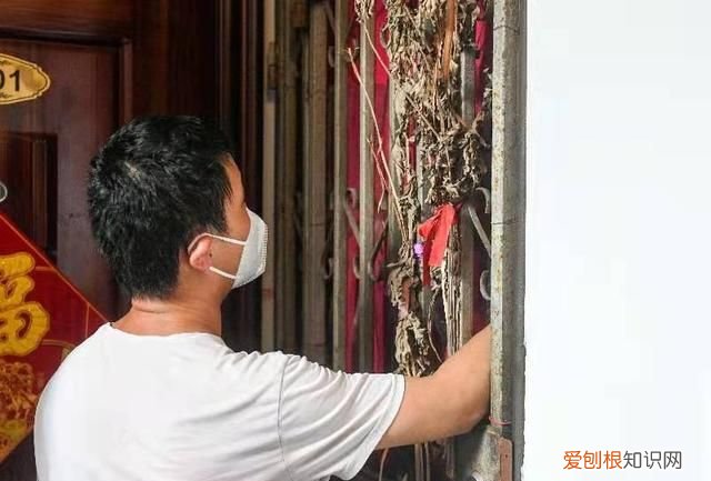 上海蟑螂防治妙招