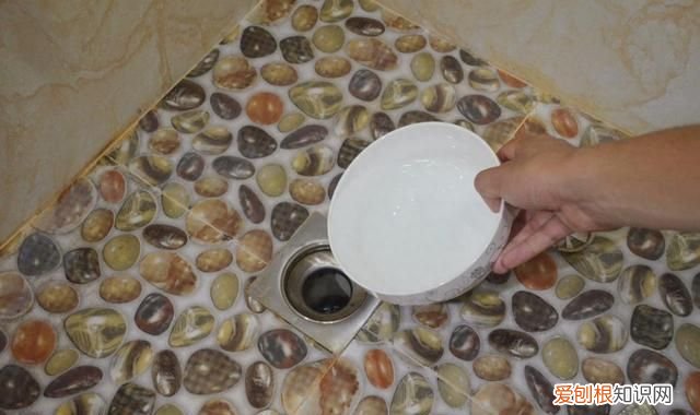 上海蟑螂防治妙招