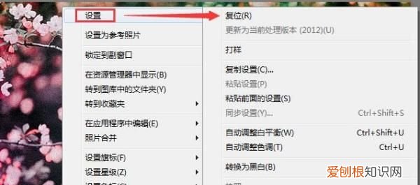 lr预设 如何取消，手机lightroom怎么添加预设