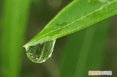 2023谷雨祝福语简短一句话 关于二十四节气谷雨的祝福语