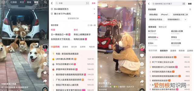 竞品分析抖音搜索vs快手搜索