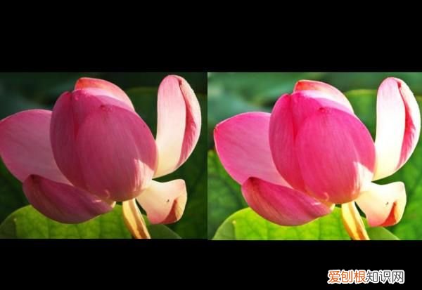 ps怎么把照片色彩鲜艳，怎么用ps把菜照片做的色泽鲜艳一点