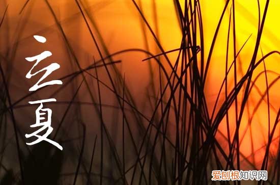 立夏是夏天的开始吗 2023年立夏节气是哪一天