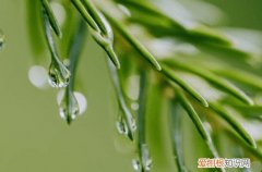 2023年谷雨是几月几号几点几分