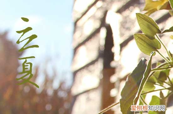 北方人2023年立夏吃什么食物 气候有什么特征