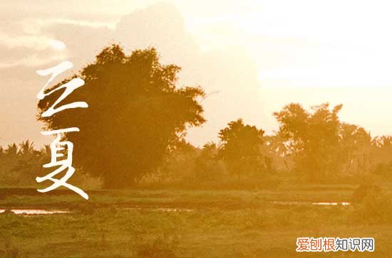 2023年立夏季节吃什么好 都有哪些传统习俗