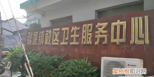 张堰社区属于哪里