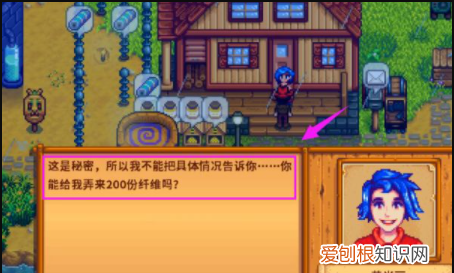 星露谷物语384喜欢什么，星露谷物语384和阿比盖尔