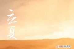 2023年立夏可以做什么活动 立夏的意义你懂吗