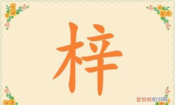 梓字取名的寓意是啥，锶字取名的寓意是什么