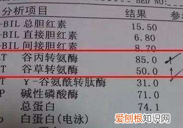 天快速降转氨酶的方法