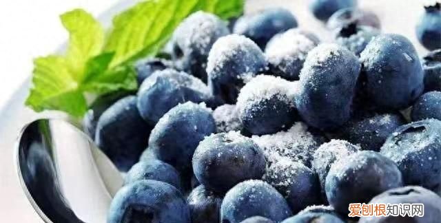 蓝莓的白霜为什么不能洗掉,怎么清洗蓝莓的白霜