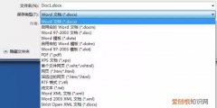 word可以另存为多少种文件格式