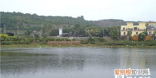 2020中国天然氧吧云南