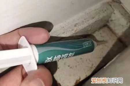 75%的酒精能杀死蟑螂吗 酒精能杀死蟑螂吗