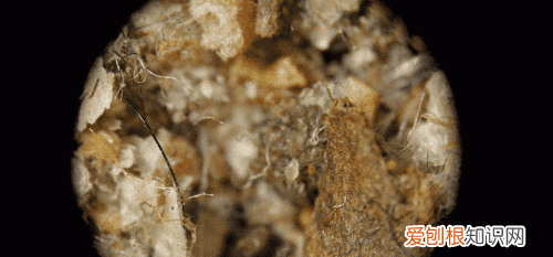 凉感被可以机洗吗