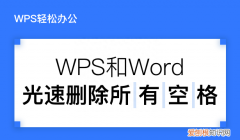 wpsword一键删除所有空格