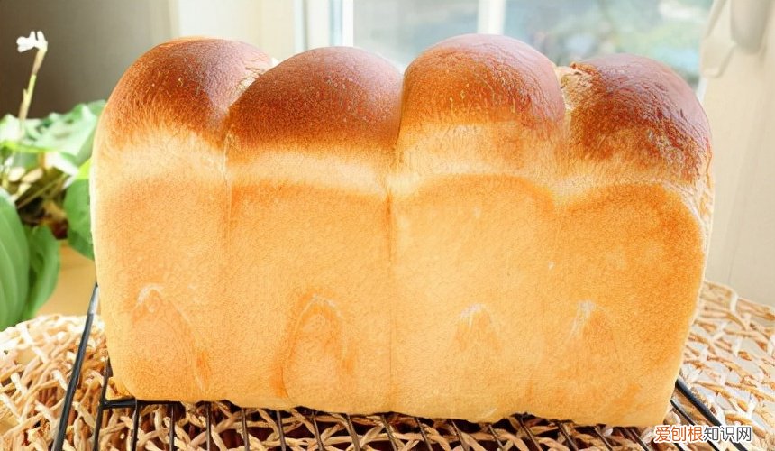 什么牌子的家用面包机最好用？