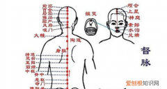 中脘穴在哪儿，中脘,神阙,关元,命门,足三里图