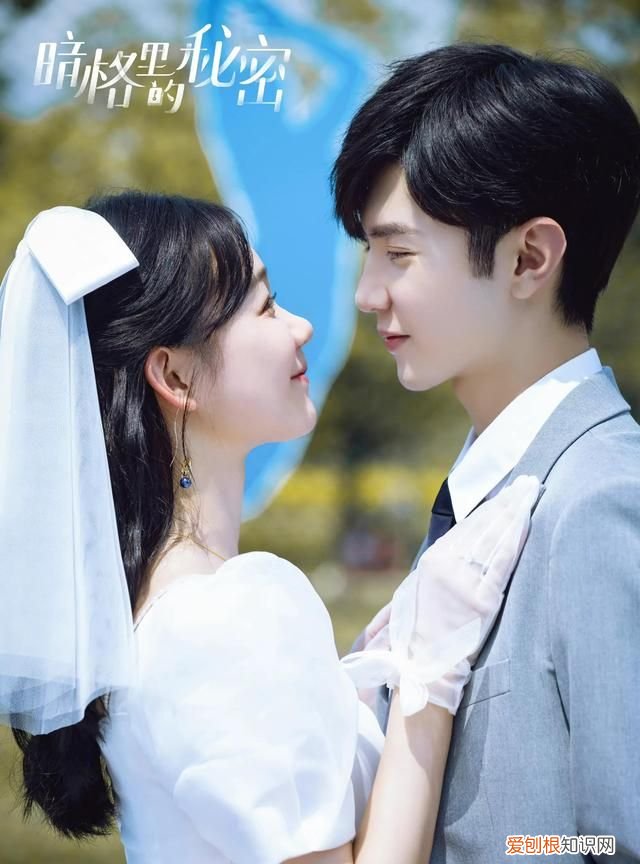 暗格里的秘密丁羡去清华是哪一章