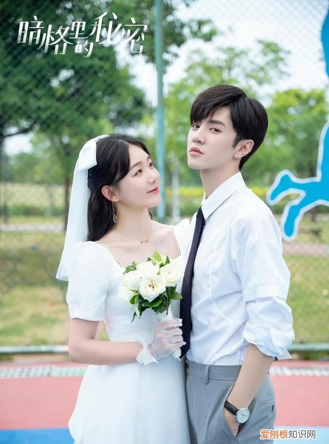 暗格里的秘密丁羡去清华是哪一章