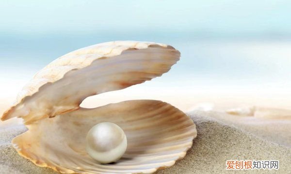 珍珠是怎么来的,珍珠是从哪里长出来的