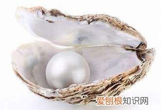 珍珠是怎么来的，珍珠是从哪里长出来的