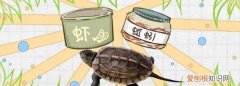 为什么草龟不吃东西，中华草龟不吃东西怎么办