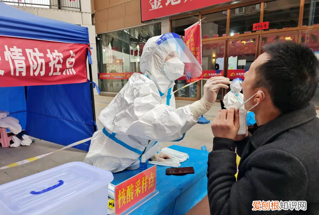 淅川县圆满完成城区全员核酸检测工作任务是什么